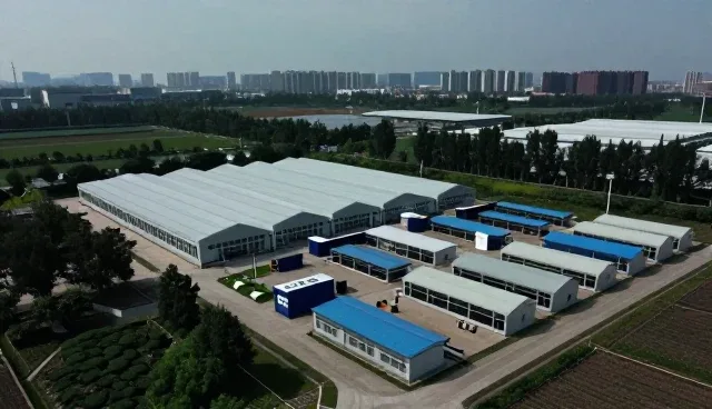 技术选型中的关键考量因素与实际应用
